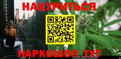 индика Будённовск