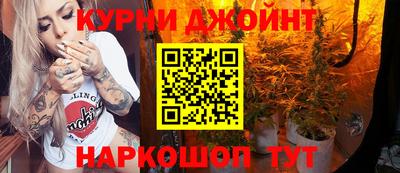 индика Будённовск