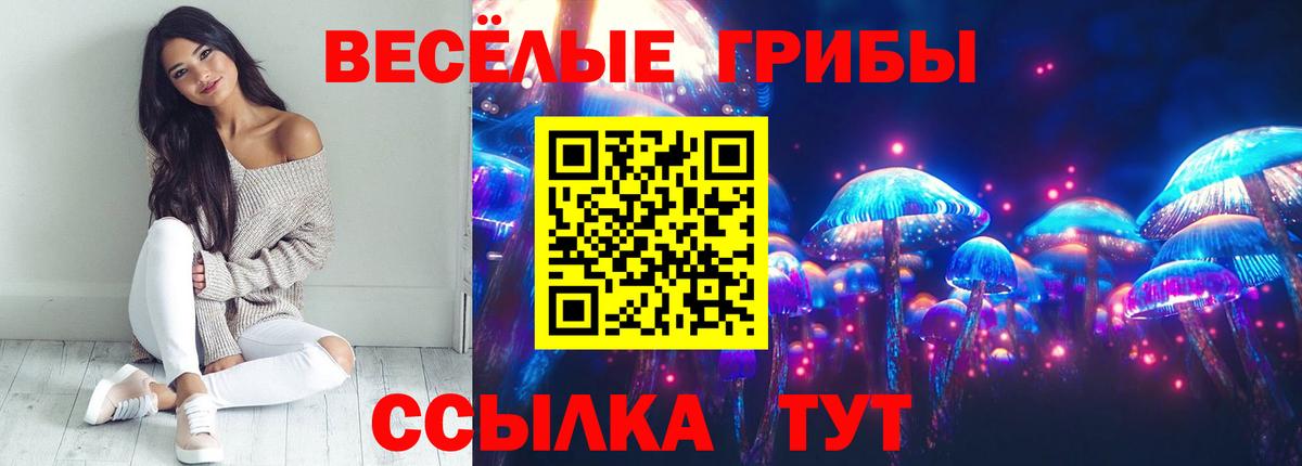 Галлюциногенные грибы MAGIC MUSHROOMS  Вход с VPN  как найти   Галлюциногенные грибы ЛСД  Карталы 